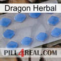 Dragon Herbal 21